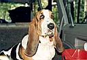 2004-11-16 220100.jpg